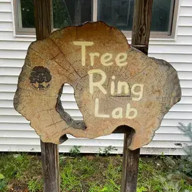 Tree ring lab