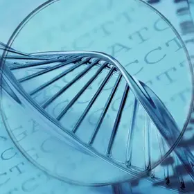 More and more patients are getting their DNA tested, with varying results.