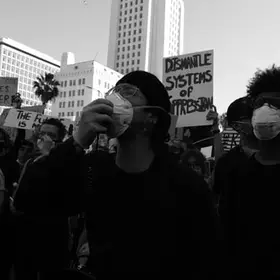 Masked Protestor