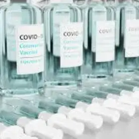 Vials of COVID-19 vaccines lined in rows
