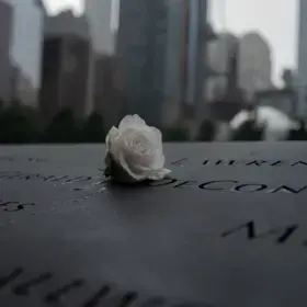 A white rose rests on the 9/11 Memorial in New York.
