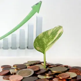 sapling growing from pile of coins, upward trend in background