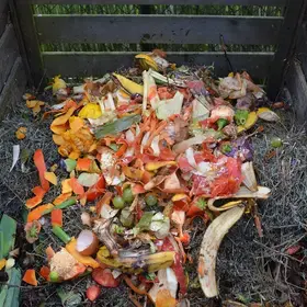 Compost bin with fresh food scraps