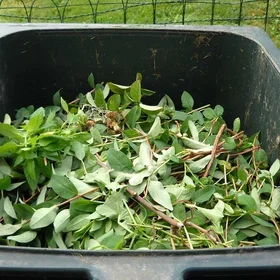 Compost bin full of yard clippings