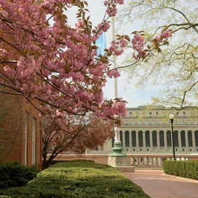 Butler Library in spring