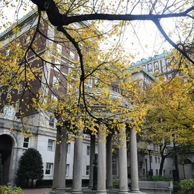 Columbia campus in fall