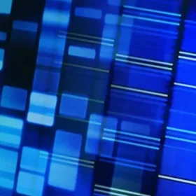 Hastings Center image