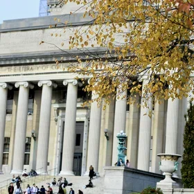 Low Library with tree