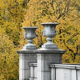 Fall on Columbia campus