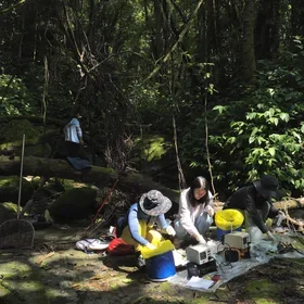 Researchers in the Chinese forest