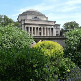 Low Library in the summer