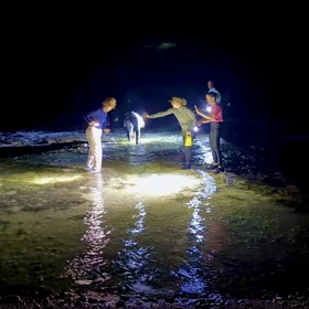 Tidepooling after dark and discovering the marine life that comes alive along the shore at night.