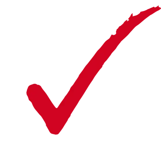 An image of a red checkmark. 