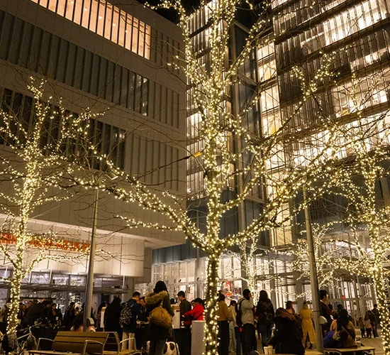 Holiday lights on the Manhattanville campus