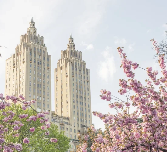 Central Park in spring