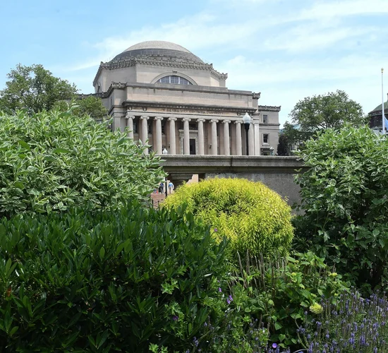 Low Library in the summer