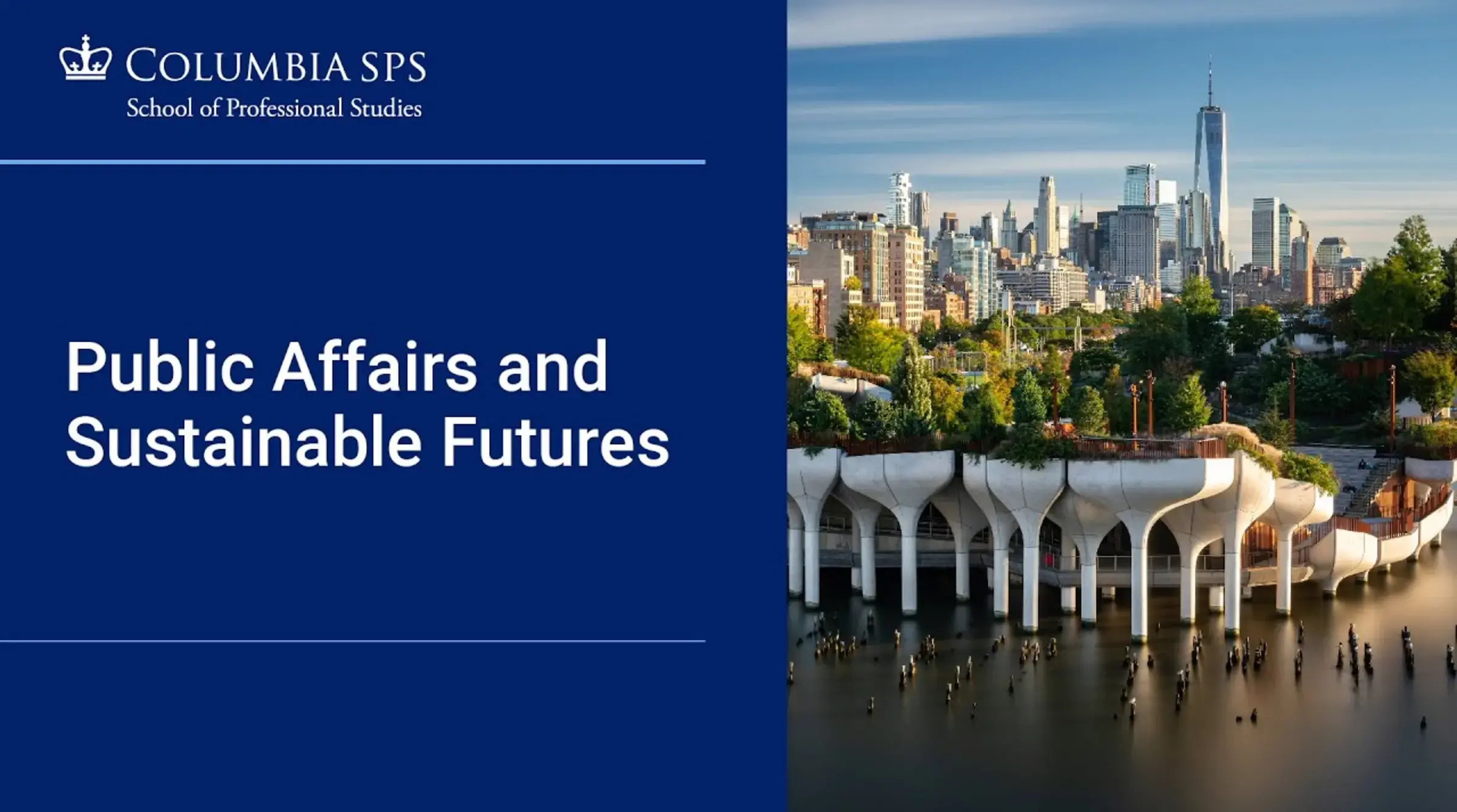 Public Affairs and Sustainable Futures