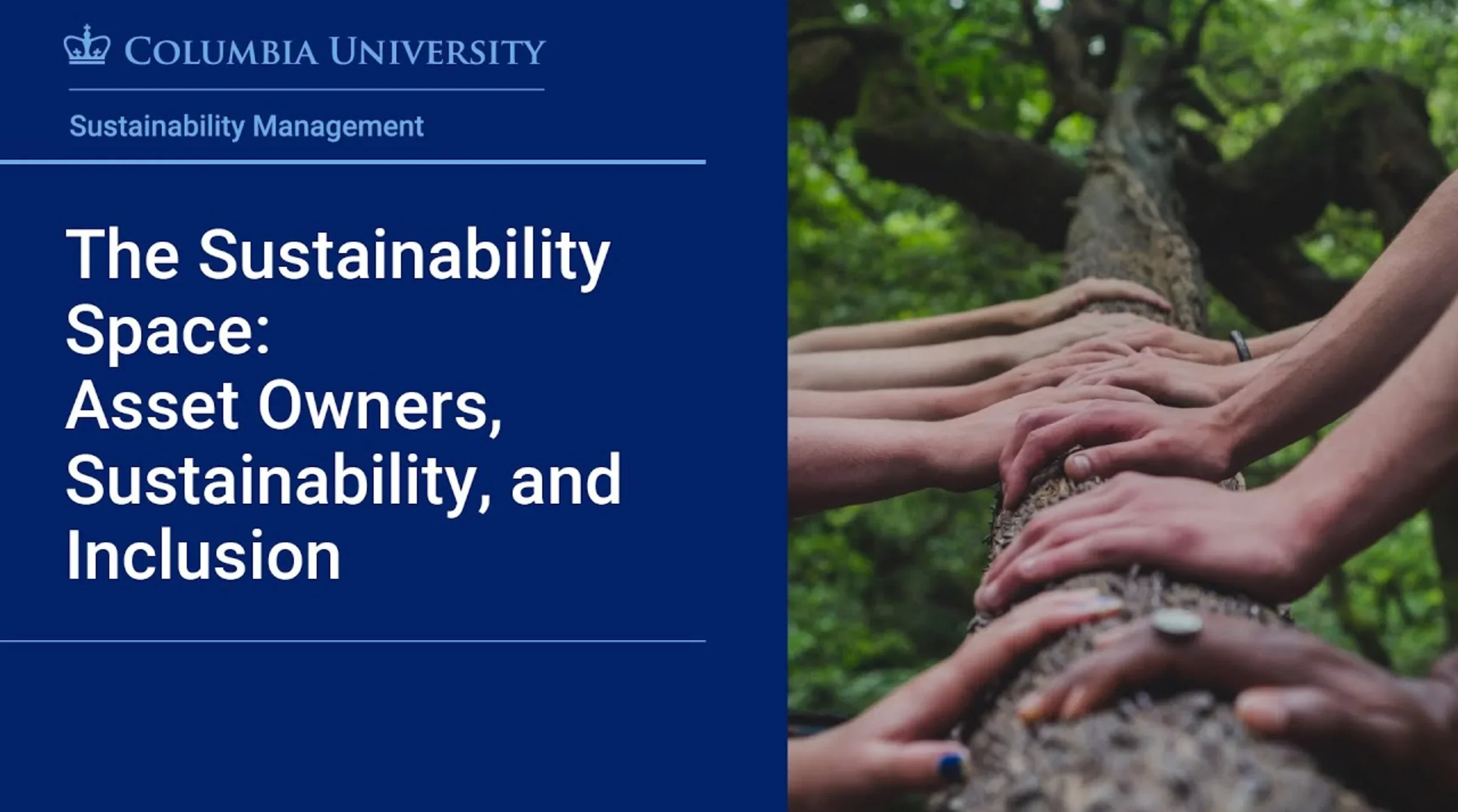 The Sustainability Space: Asset Owners, Sustainability, and Inclusion