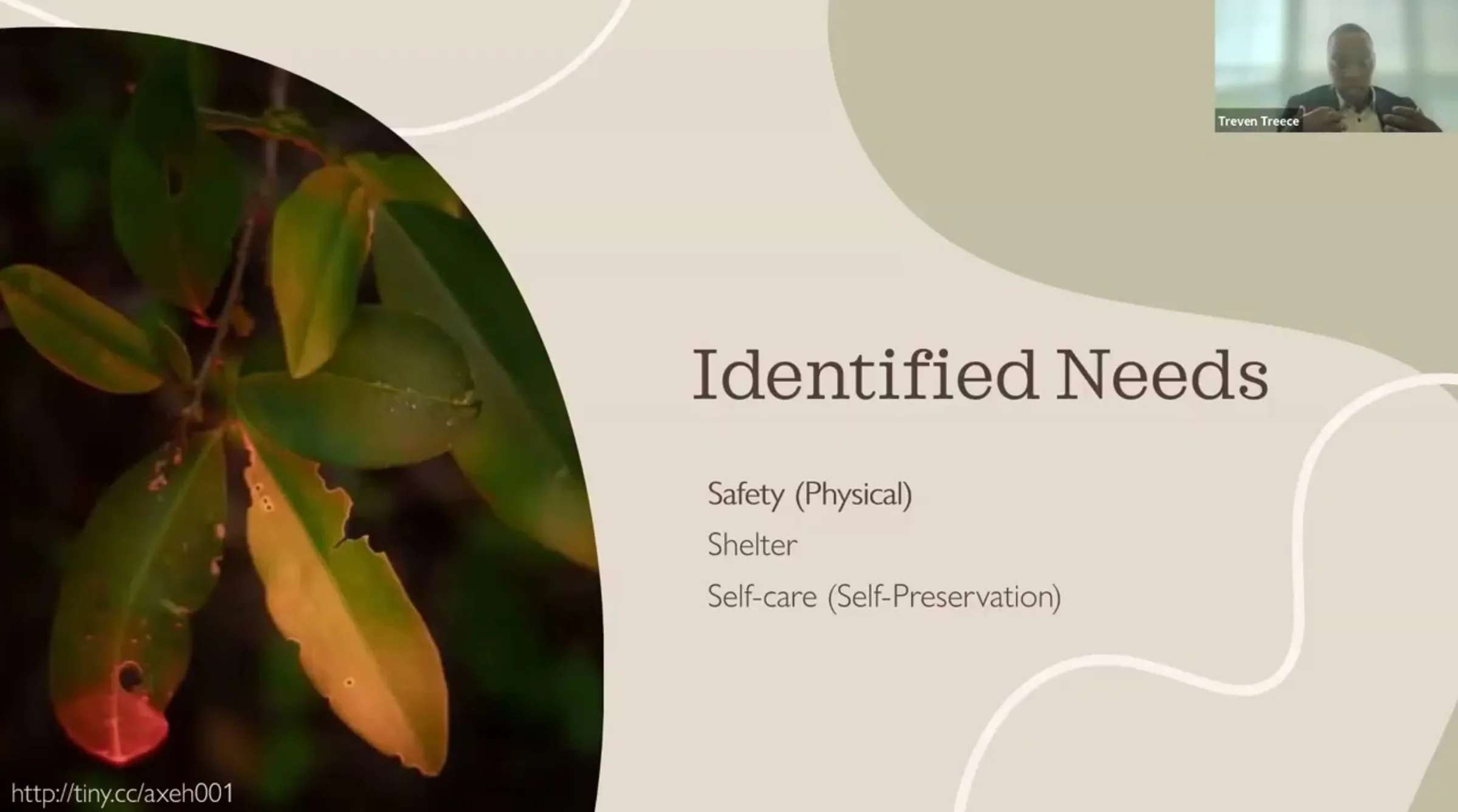 Kakataibo & Cocaine Cartels: The Fight for Stability in the Rural Peruvian Amazon