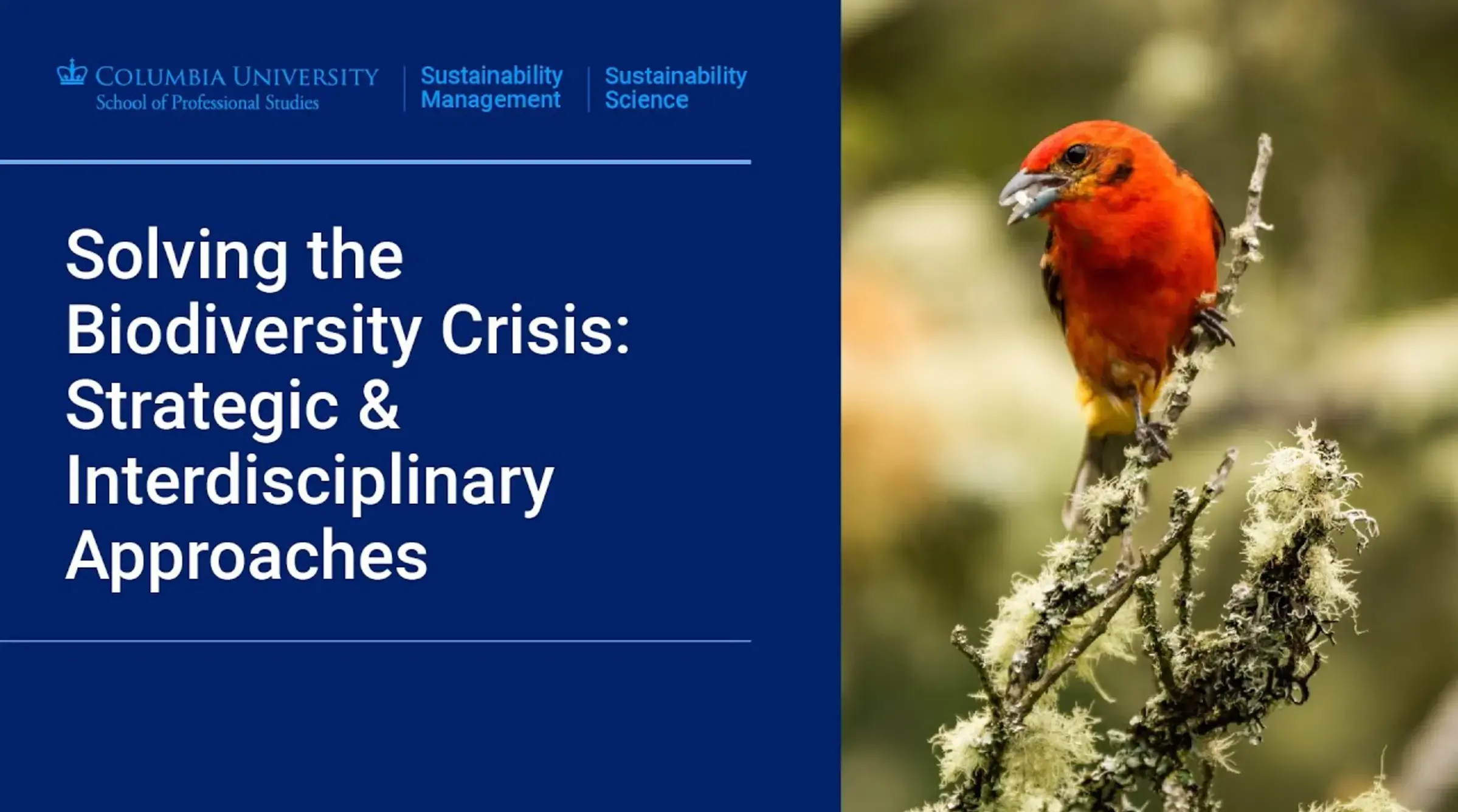 Solving the Biodiversity Crisis: Strategic & Interdisciplinary Approaches