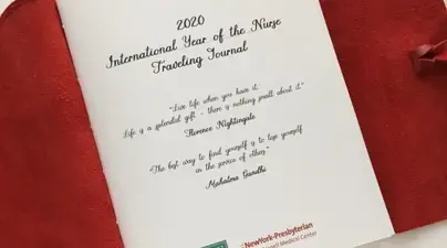 Year of the Nurse journal