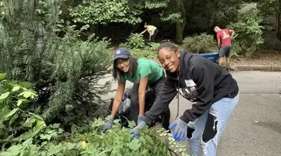 HBCU Fellows Timia Whitsey, '20SPS, Strategic Communication, and Shaddae Findley, ’20SPS, Enterprise Risk Management, removing weeds from Morningside Park as part of a community service project pre-pandemic.
