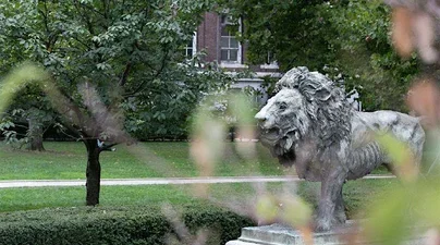 Columbia Lion