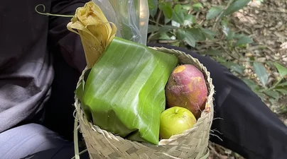 Reusable lunch baskets