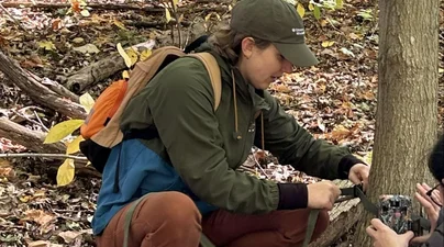 A student secures a wildlife camera trap to a tree during fieldwork in a forested area.