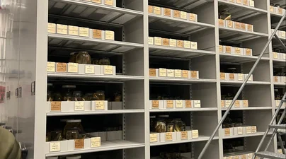 Tall archival shelving units filled with preserved specimen jars inside a museum collections storage room.