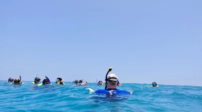People snorkeling above corals