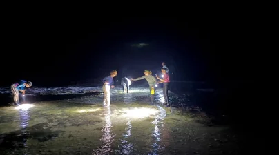 People tidepooling after dark and discovering the marine life that comes alive along the shore at night.