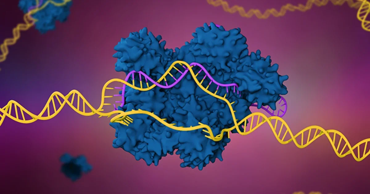 The Five Biggest Bioethical Issues of the Next Five Years | Columbia ...