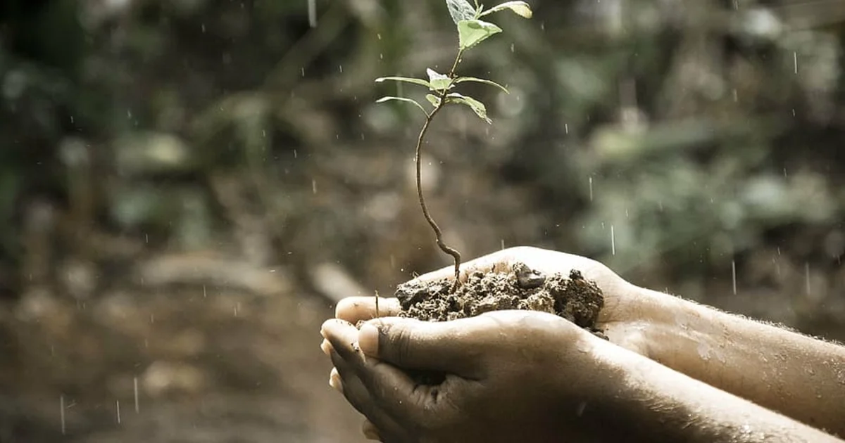 The Limits to Human Domination of Nature | Columbia University School ...